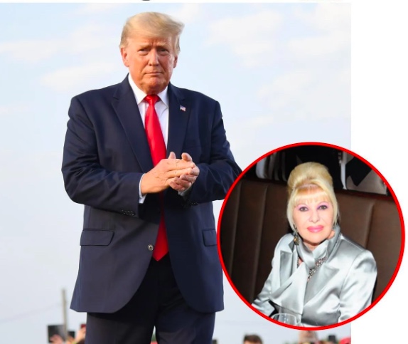 donald ivana trump