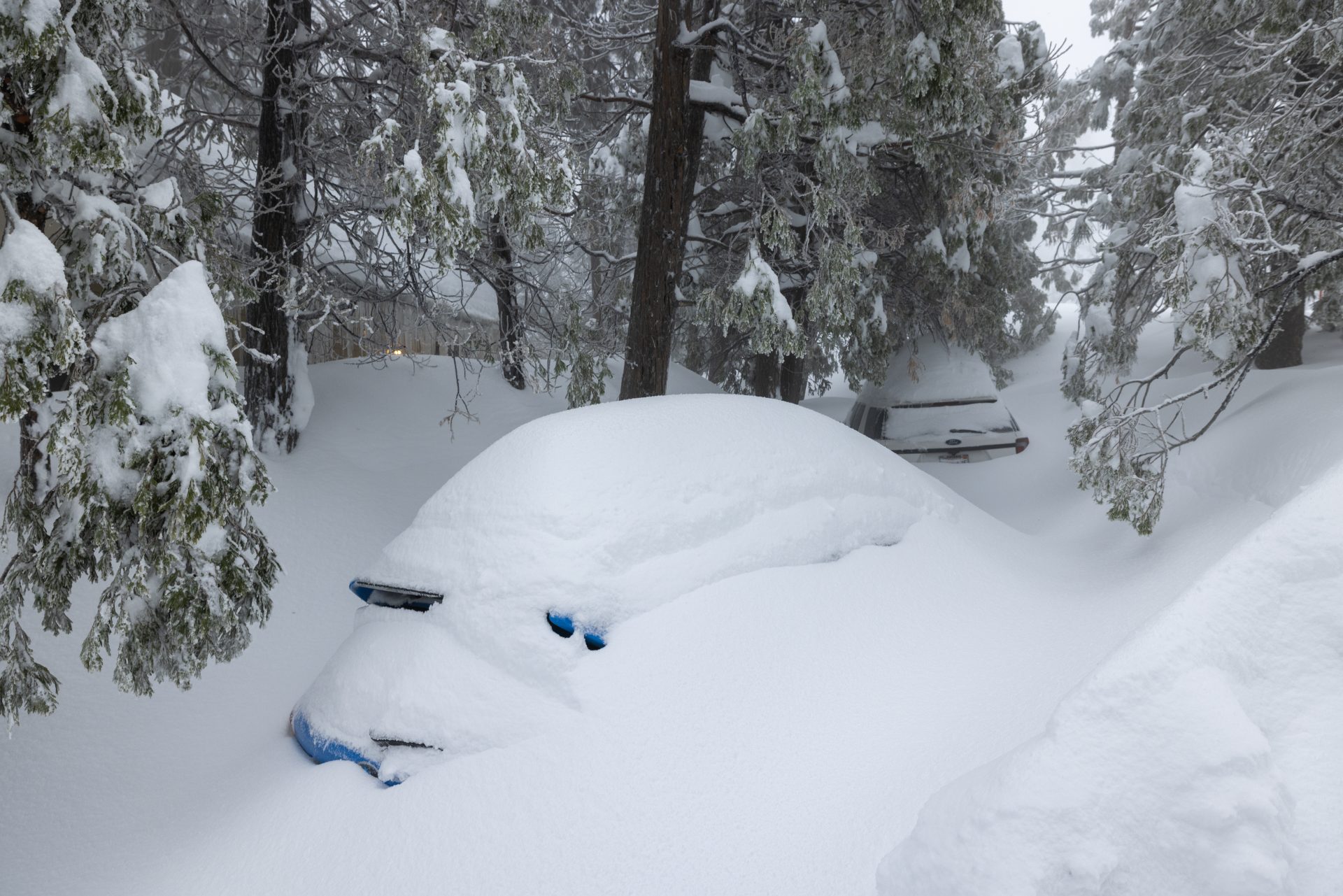 Man, 81, Survives On Candy And Croissants For Almost A Week After His SUV Got Stuck In Snow