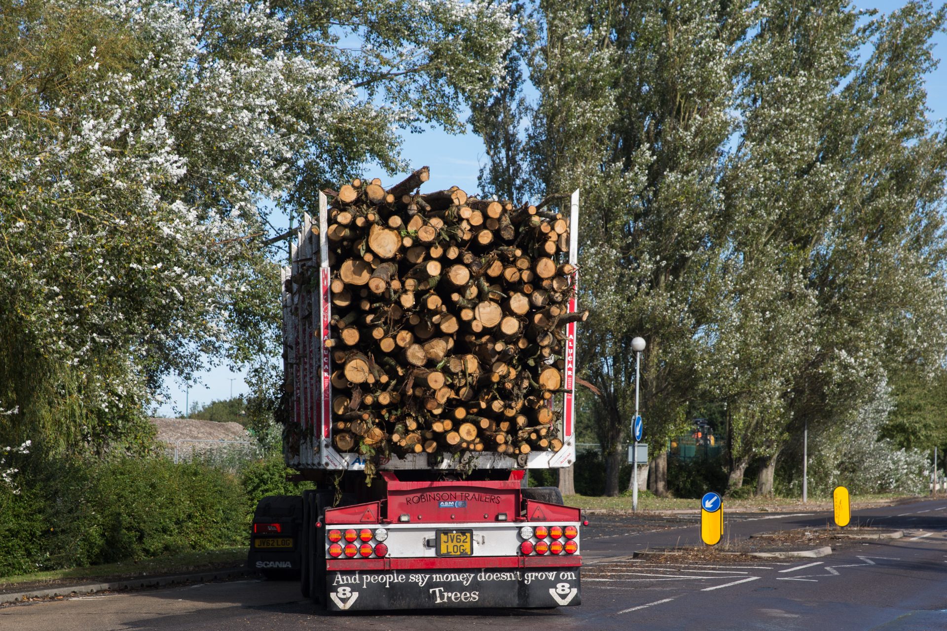 Woman Dies Florida Crash Wooden Logs