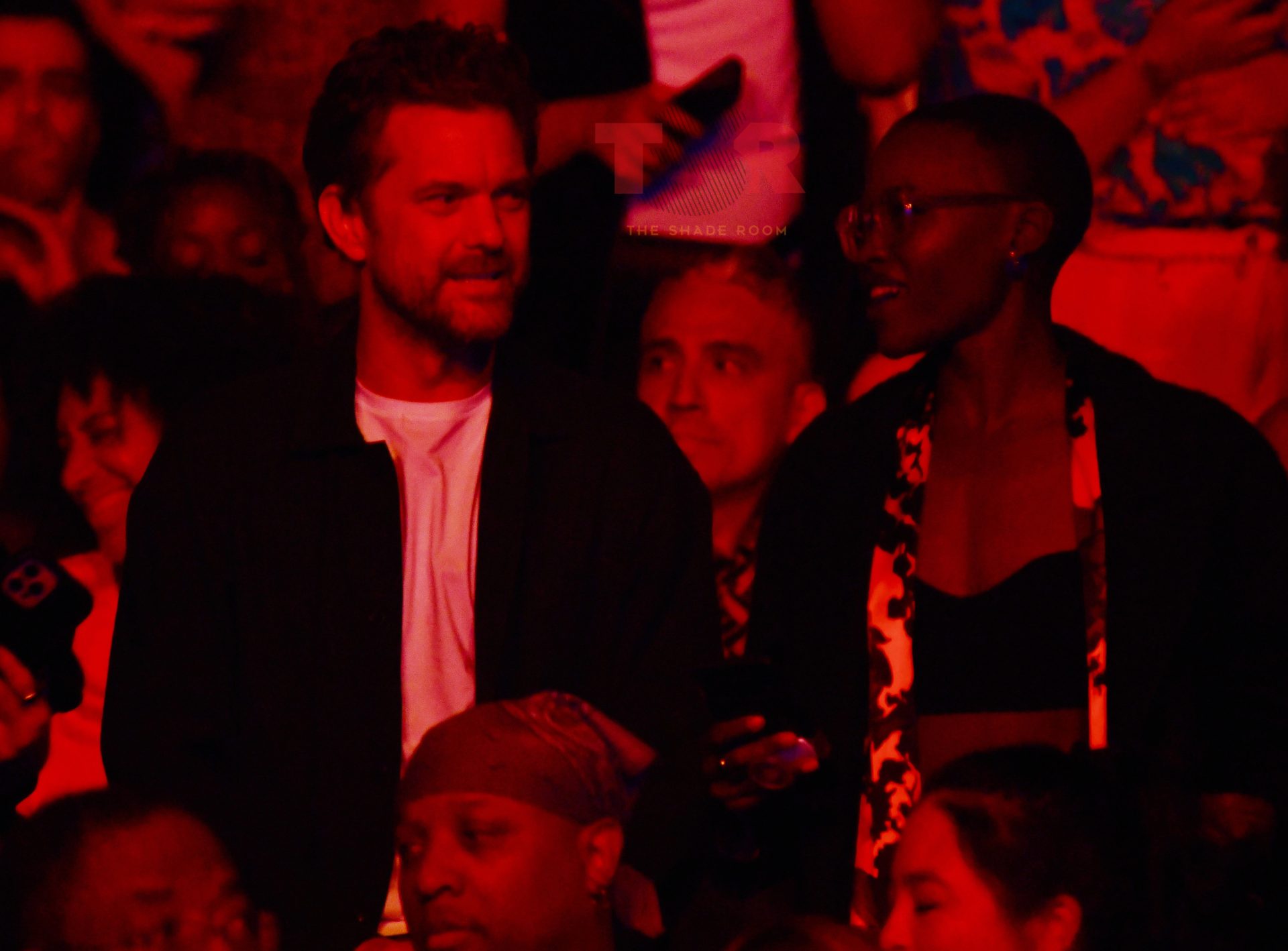 Actors Night Out! Joshua Jackson & Lupita Nyoung'o Enjoy Janelle Monáe's Concert With Friends (Exclusive)