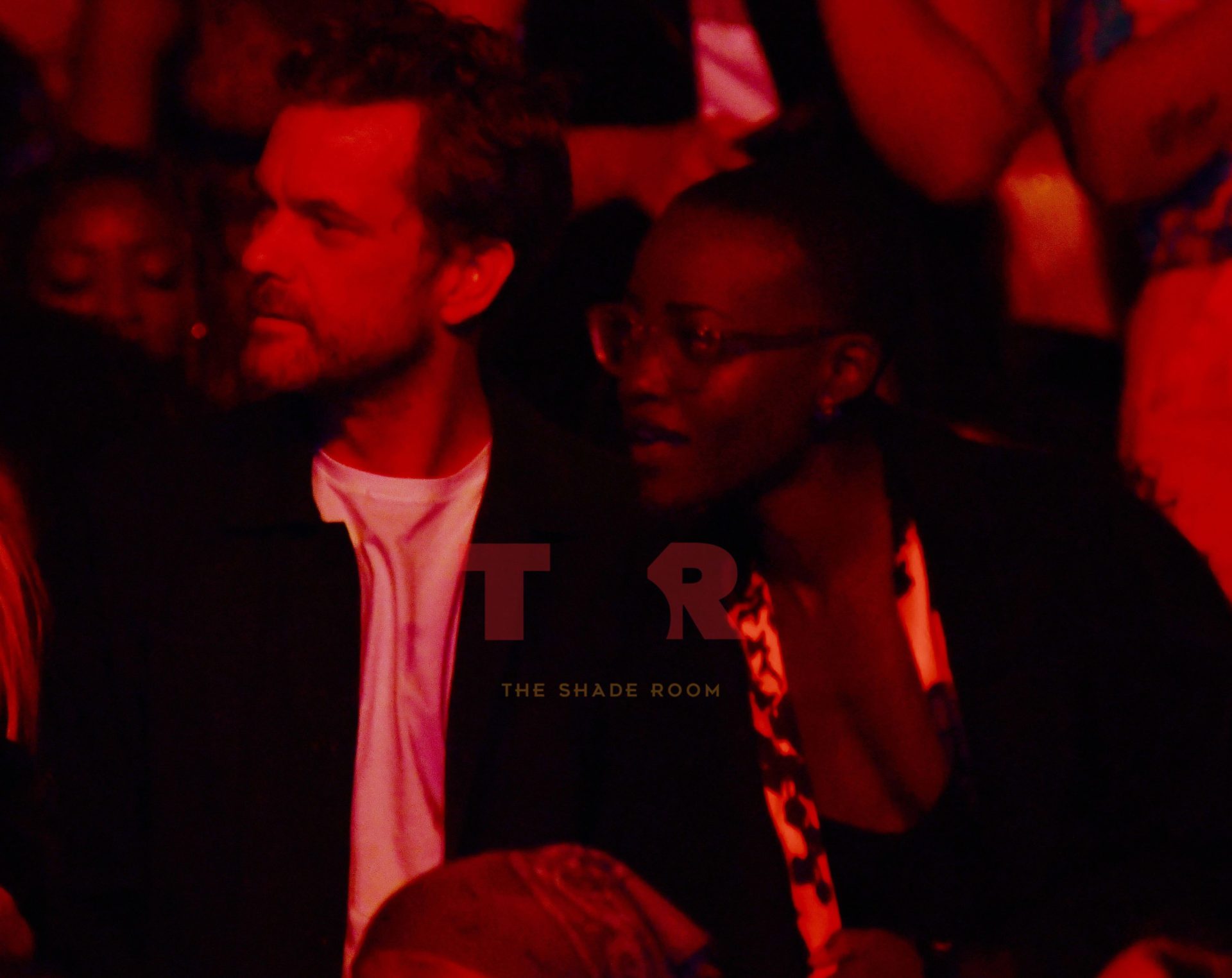 Actors Night Out! Joshua Jackson & Lupita Nyoung'o Enjoy Janelle Monáe's Concert With Friends (Exclusive)