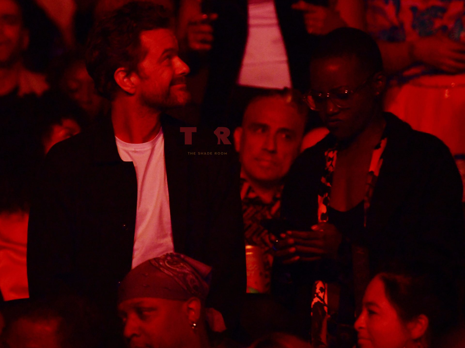 Actors Night Out! Joshua Jackson & Lupita Nyoung'o Enjoy Janelle Monáe's Concert With Friends (Exclusive)