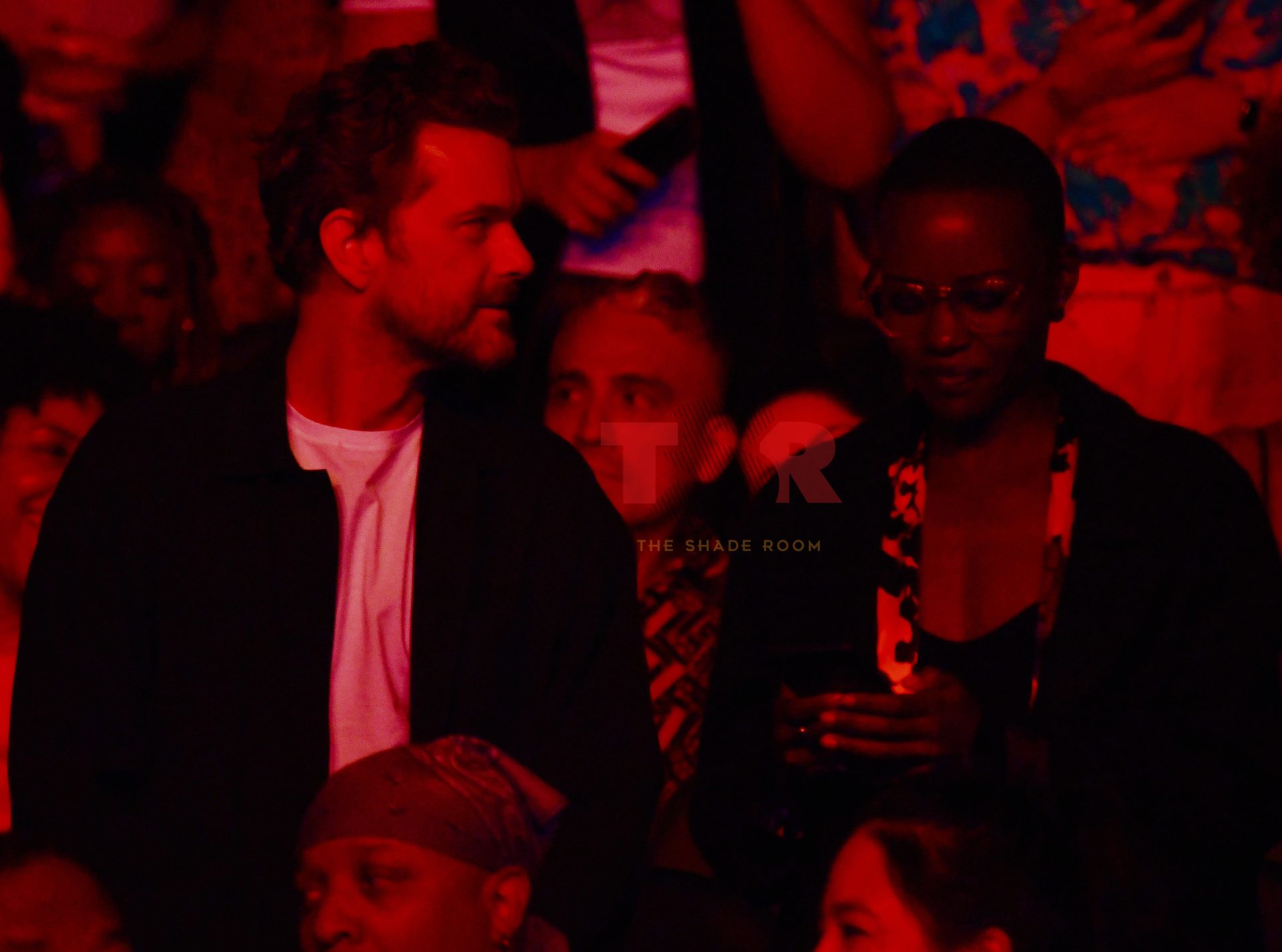 Actors Night Out! Joshua Jackson & Lupita Nyoung'o Enjoy Janelle Monáe's Concert With Friends (Exclusive)