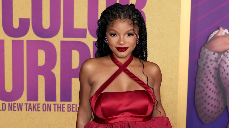 Halle Bailey Claps Back At Fan Who Claimed She Was Gaslighting Fans By Hiding Her Pregnancy