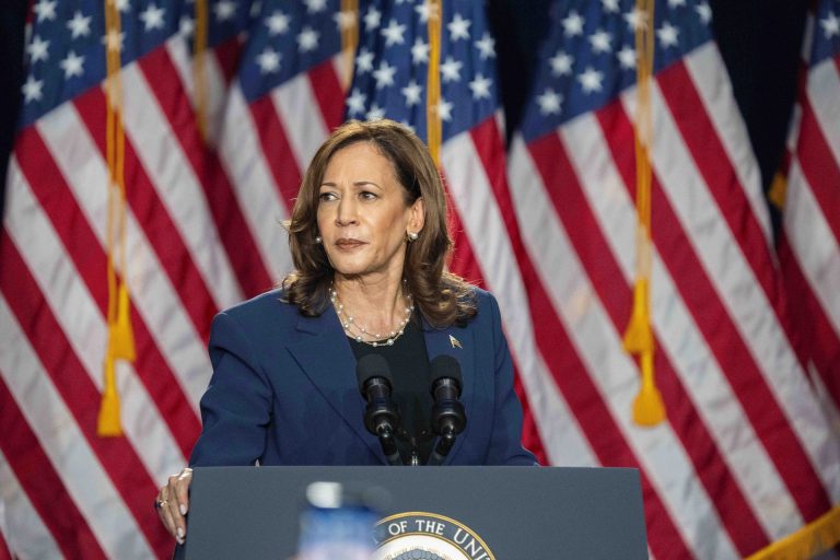 Kamala Harris Vice President November Election Wisconsin Rally Takeaways Recap Summary